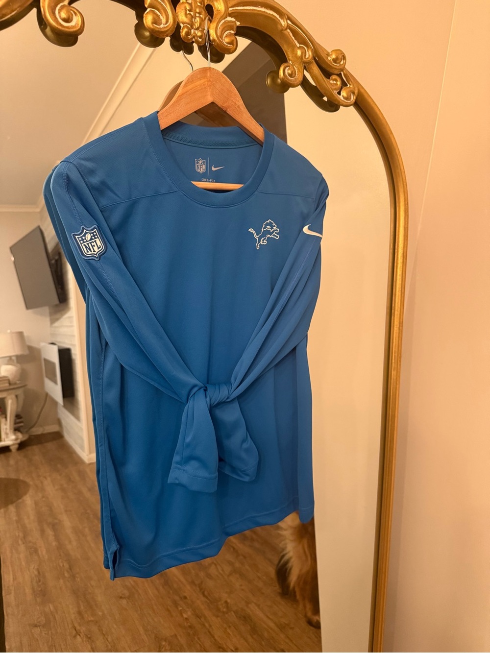 Nike unisex NFL detroit lions Drifit top